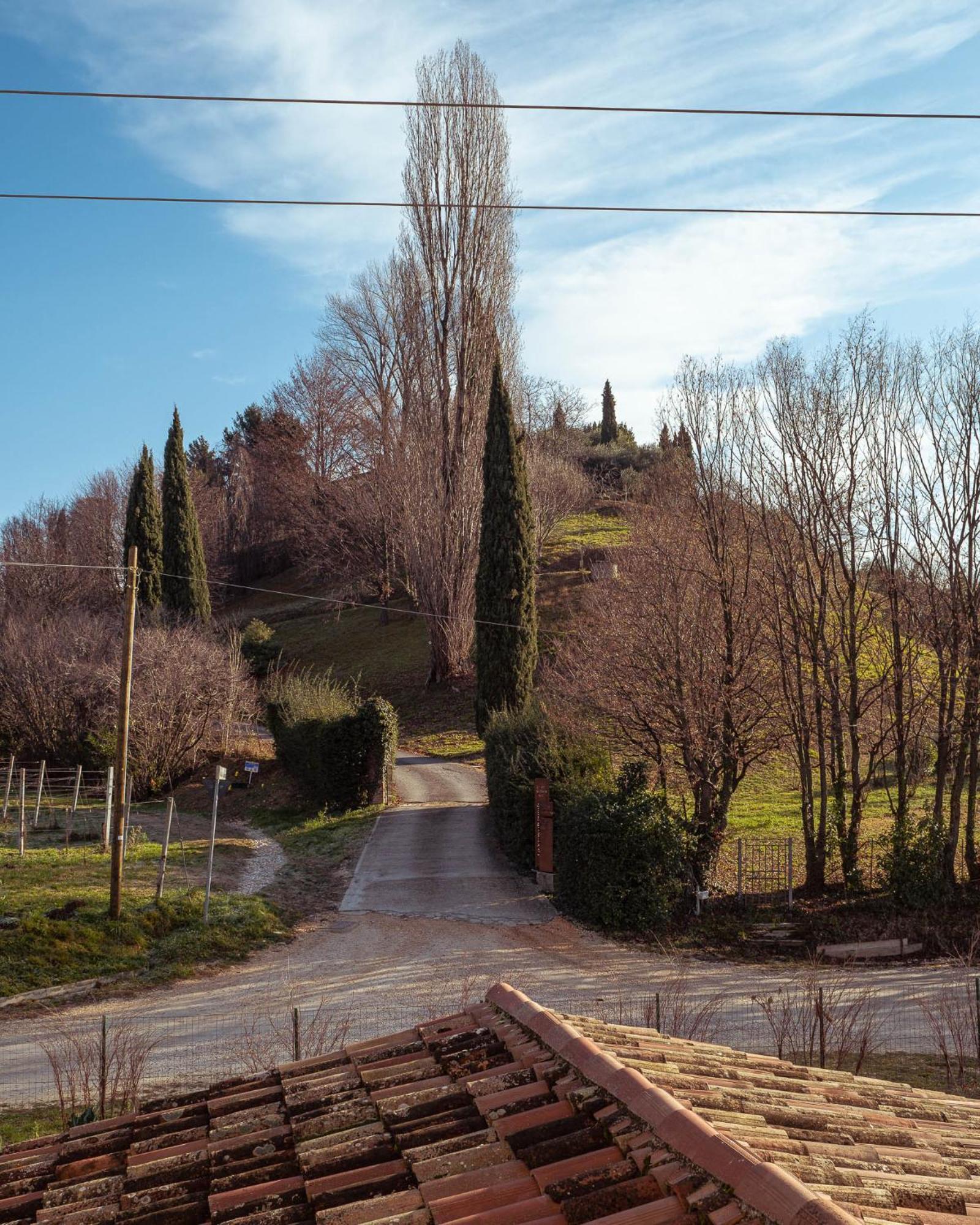 Agriturismo La Vigna Di Sarah Vittorio Veneto Luaran gambar